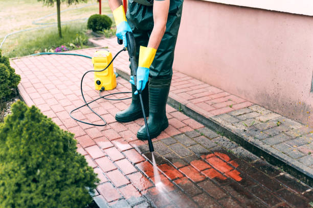 Best Roof Power Washing Services  in Cohoes, NY