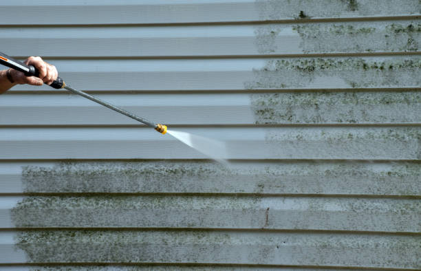 Best House Pressure Washing  in Cohoes, NY